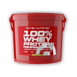 100% Whey Protein Professional 5000g - vanilka