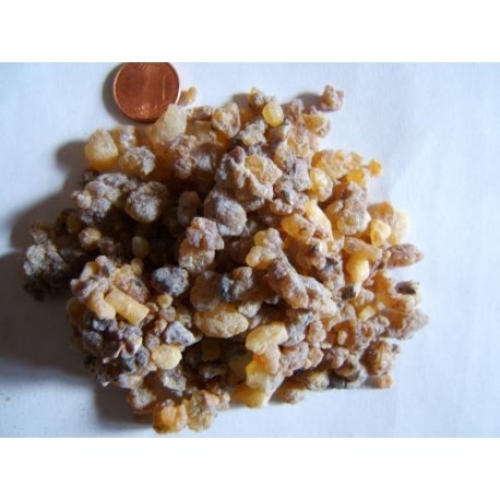 Kadidlovník - Indické Kadidlo - Boswellia serrata - 250g