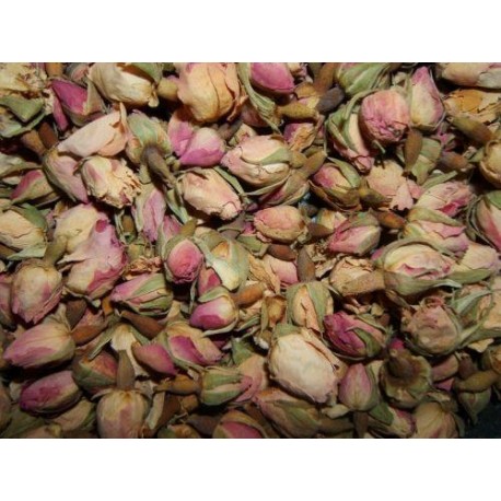 Ruža kvet - Rosa damascena - 50g puky