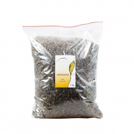 Divozel veľkokvetý - Verbascum thapsiforme - 1kg