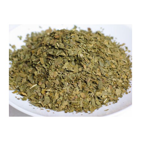 Ginkgo biloba list - 100g