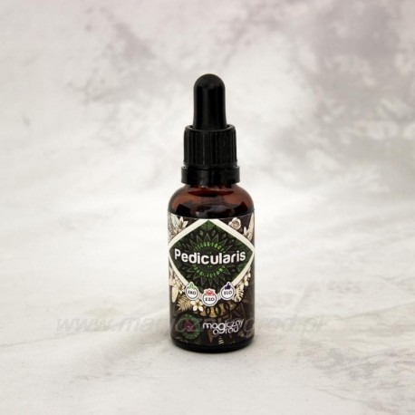 Pedicularis densiflora 30 ml