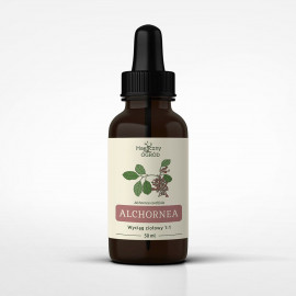 Tinktura Alchornea cordifolia 1:1 - 50ml