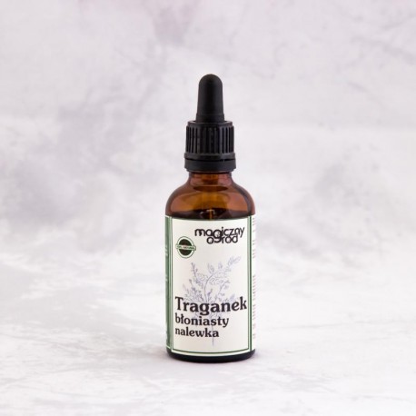 Kozinec blanitý tinktúra 1:1 50 ml - Astragalus membranaceus